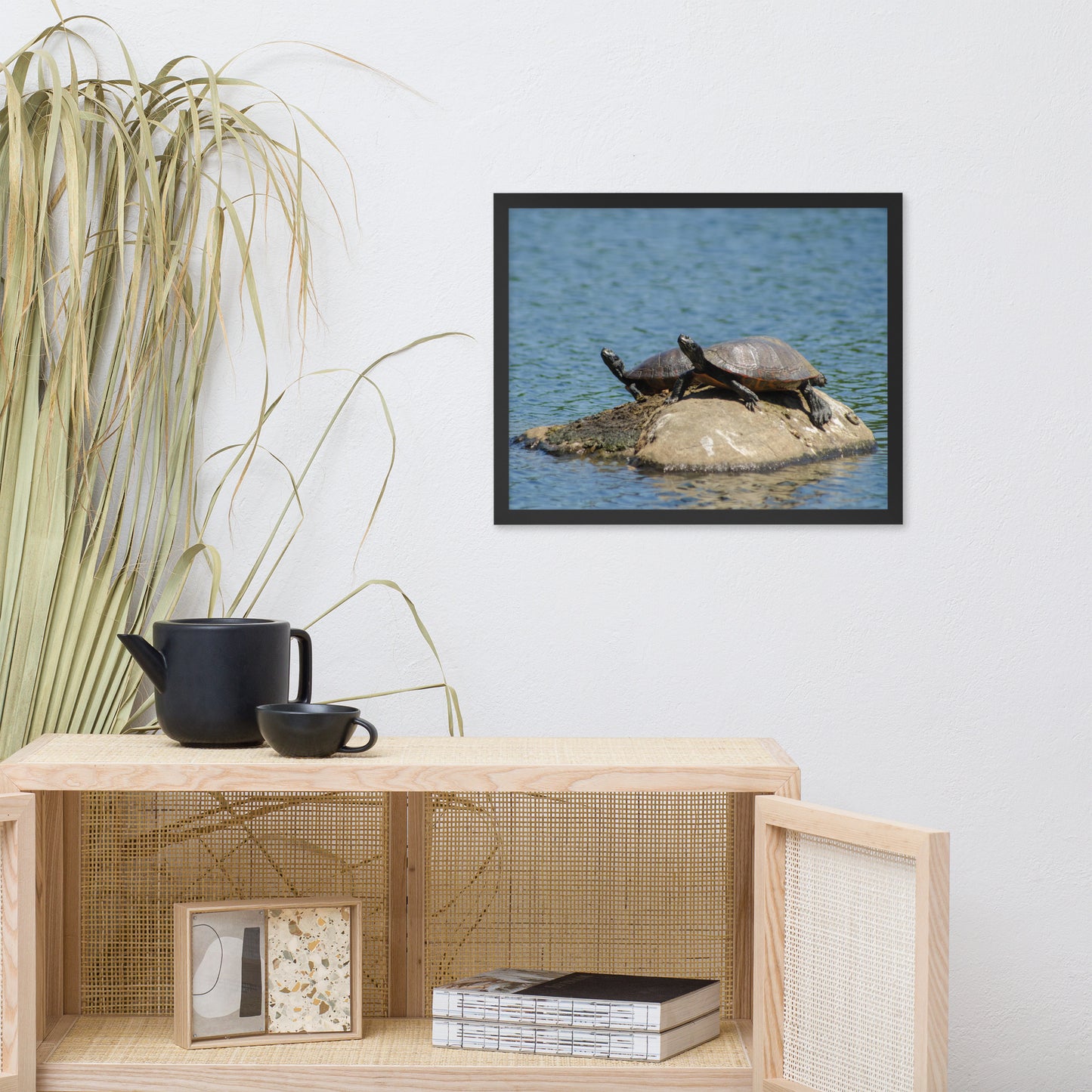 Sunshine Rock with Turtles Animal Wildlife Photograph Framed Wall Art Prints