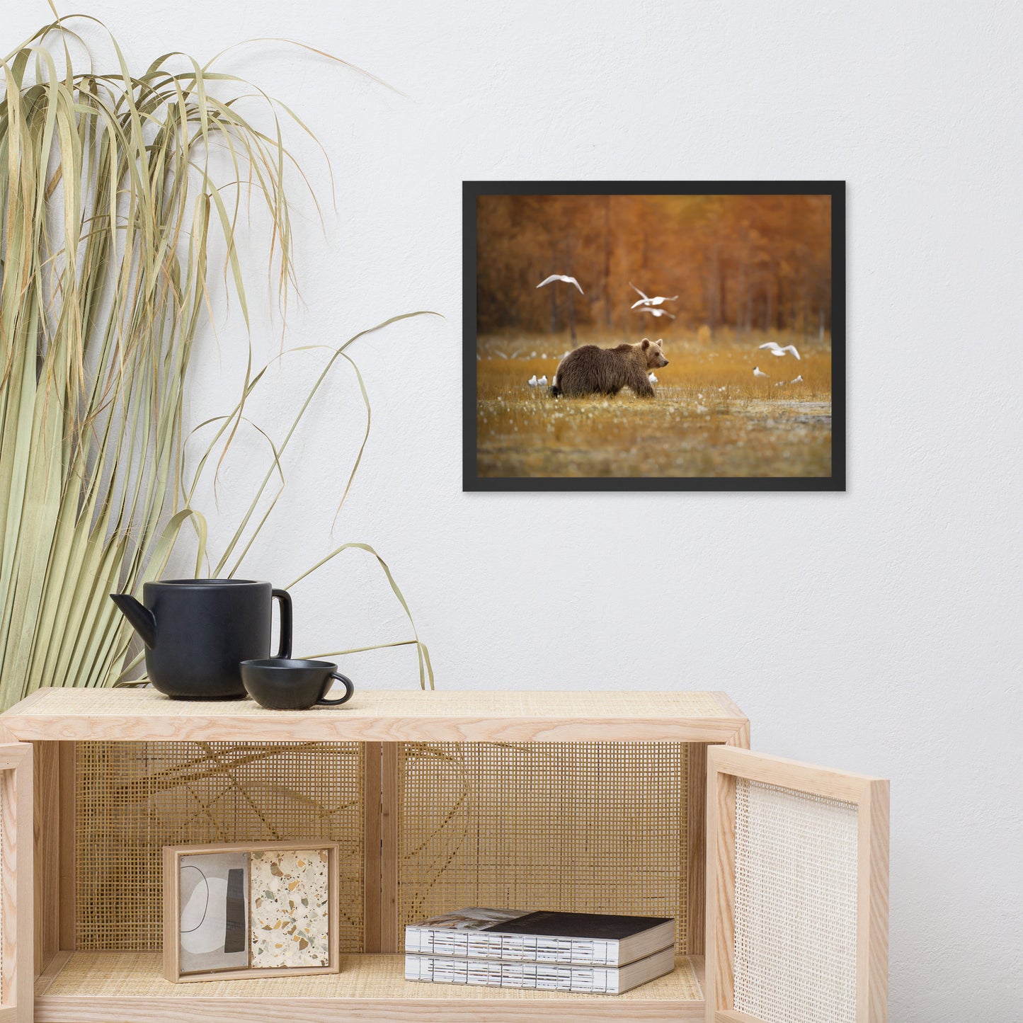 Big Brown Bear Crossing the Marshlands Wildlife Photo Framed Wall Art Prints