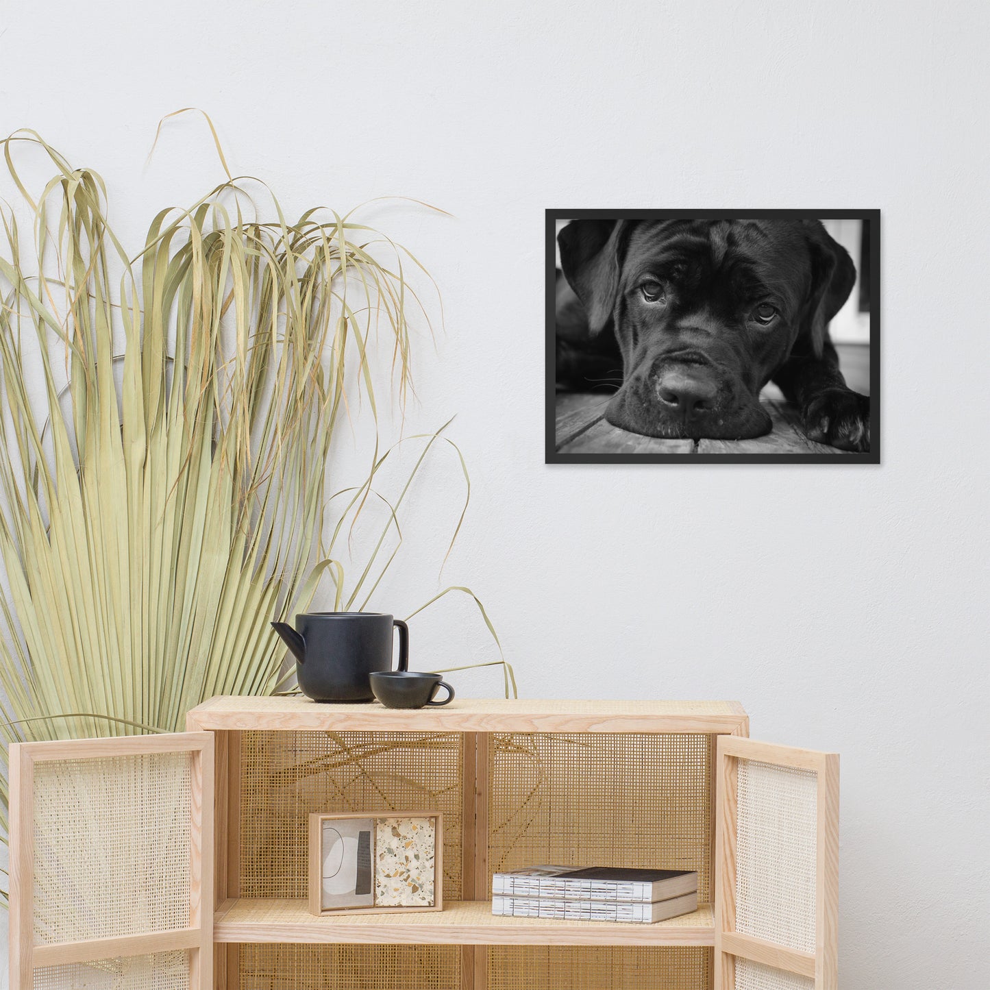 Cane Corso on Porch Animal Dog Black & White Framed Wall Art Prints