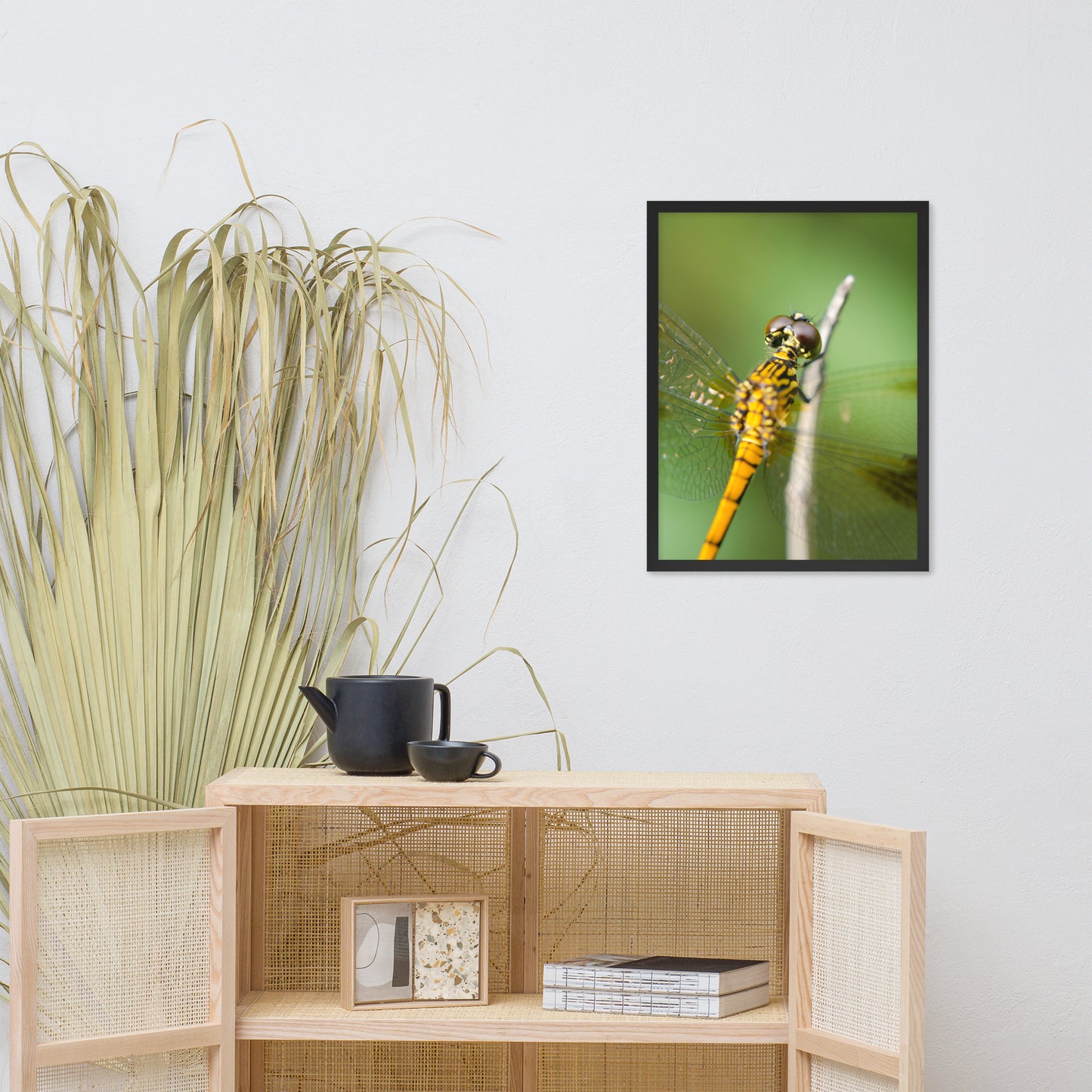 Dragonfly at Bombay Hook Animal Wildlife Photograph Framed Wall Art Prints