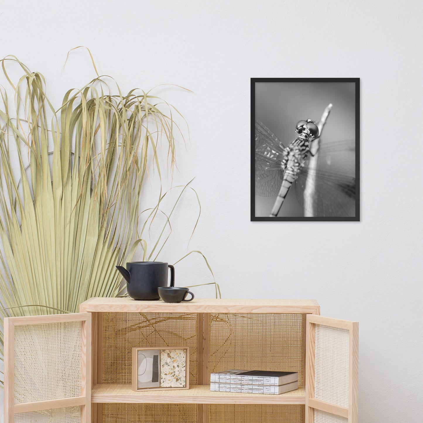 Dragonfly at Bombay Hook in Black and White Animal Wildlife Photograph Framed Wall Art Prints