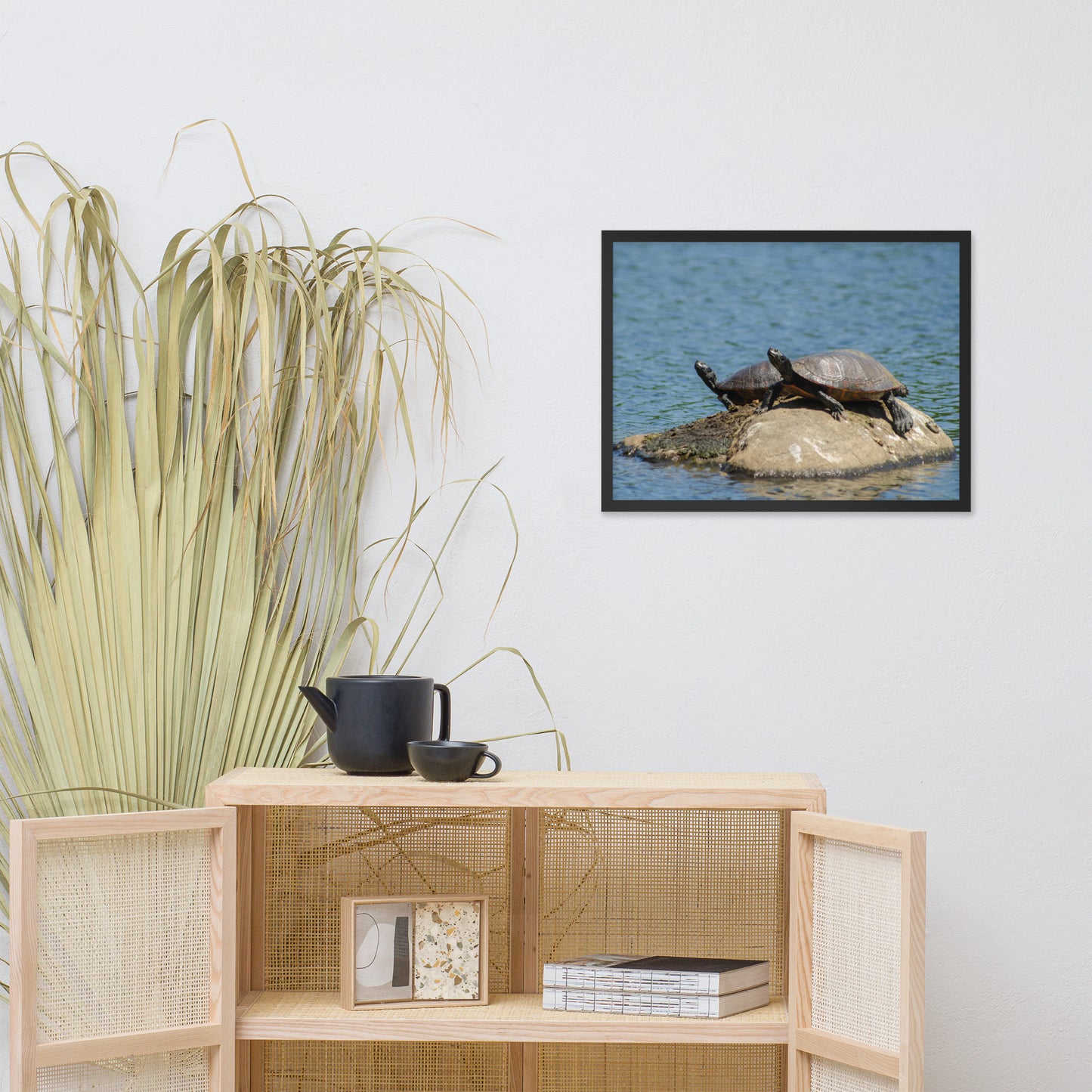 Sunshine Rock with Turtles Animal Wildlife Photograph Framed Wall Art Prints