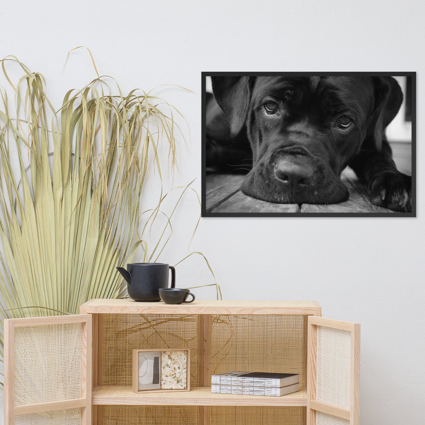 Cane Corso on Porch Animal Dog Black & White Framed Wall Art Prints