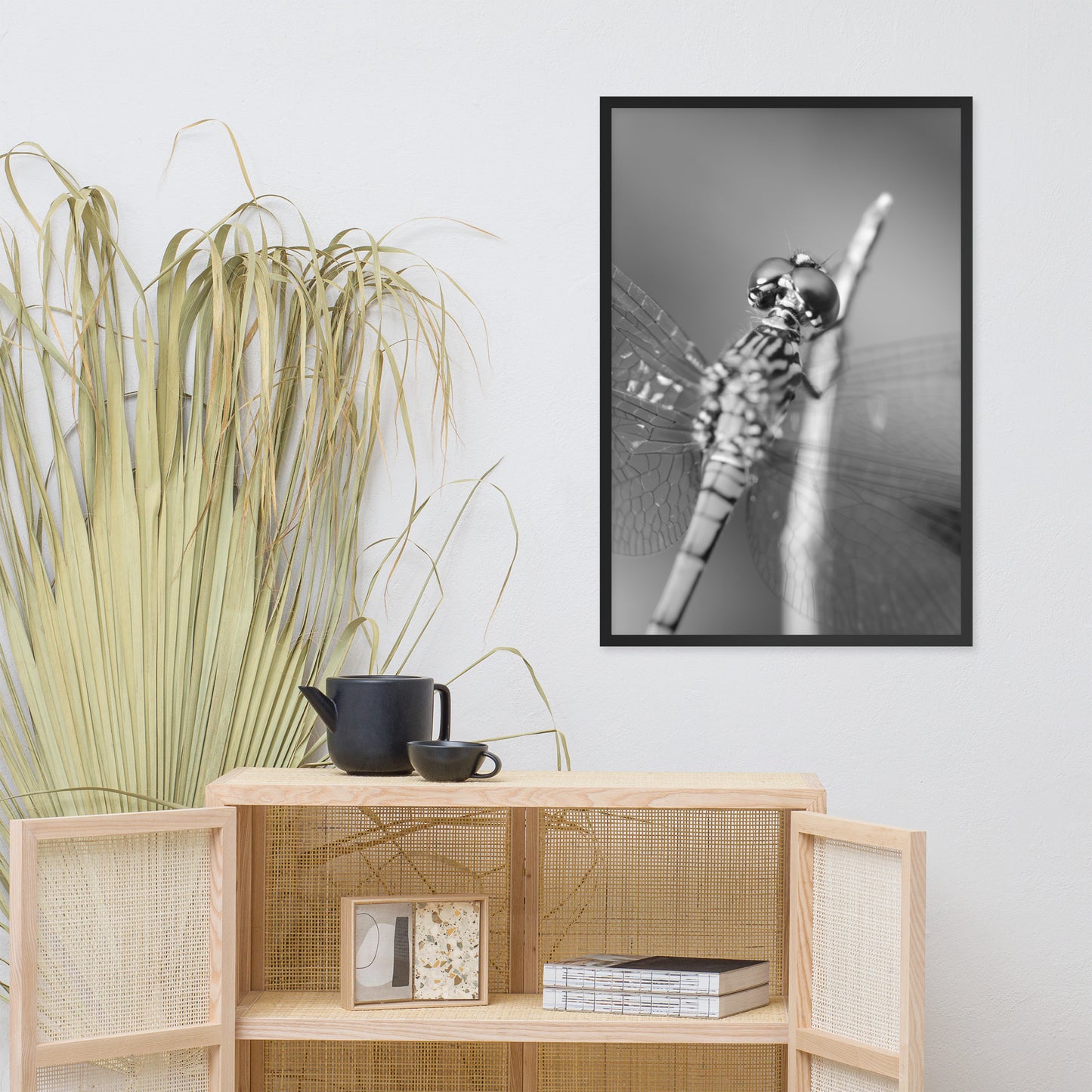 Dragonfly at Bombay Hook in Black and White Animal Wildlife Photograph Framed Wall Art Prints