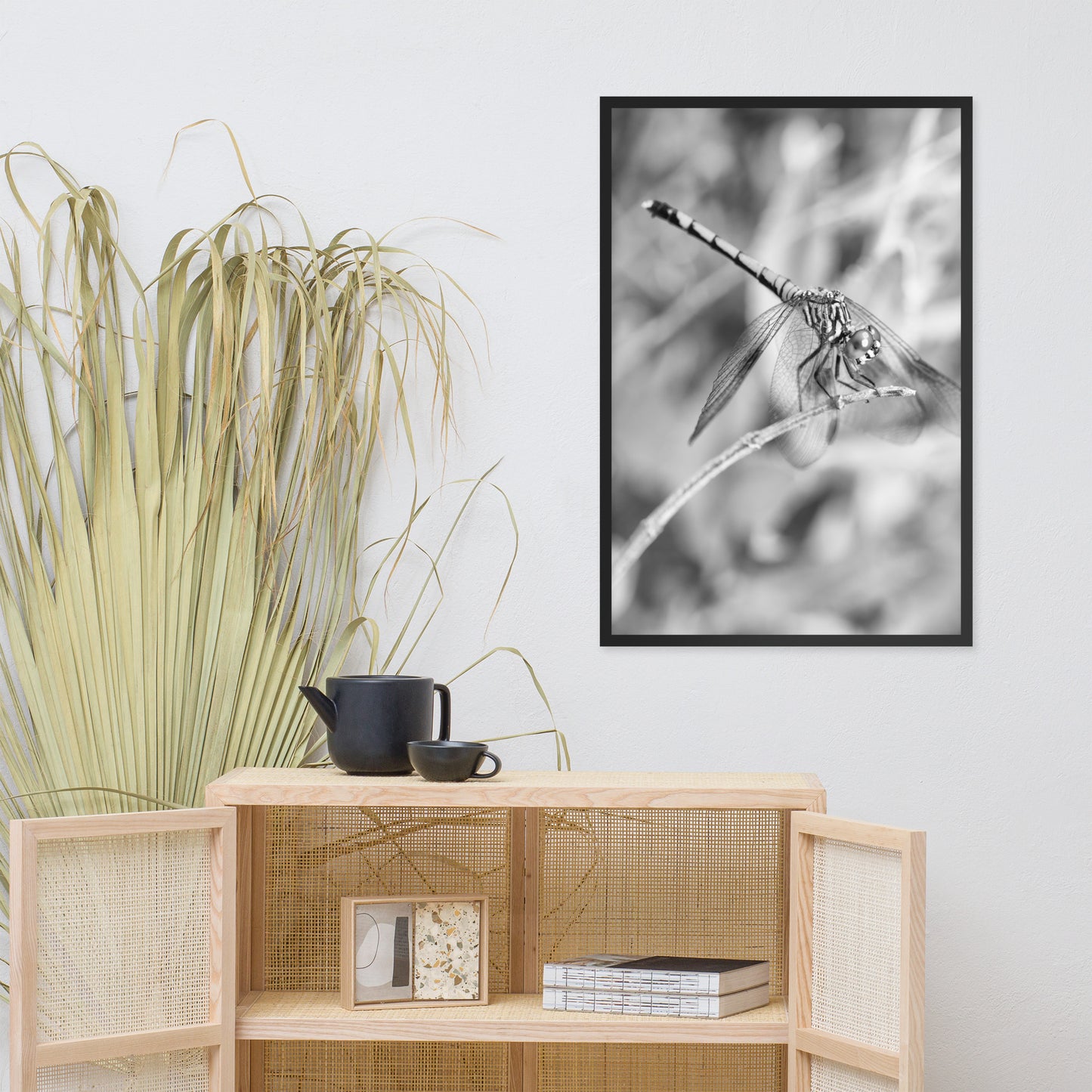 Dragonfly in Black and White Animal Wildlife Photograph Framed Wall Art Prints
