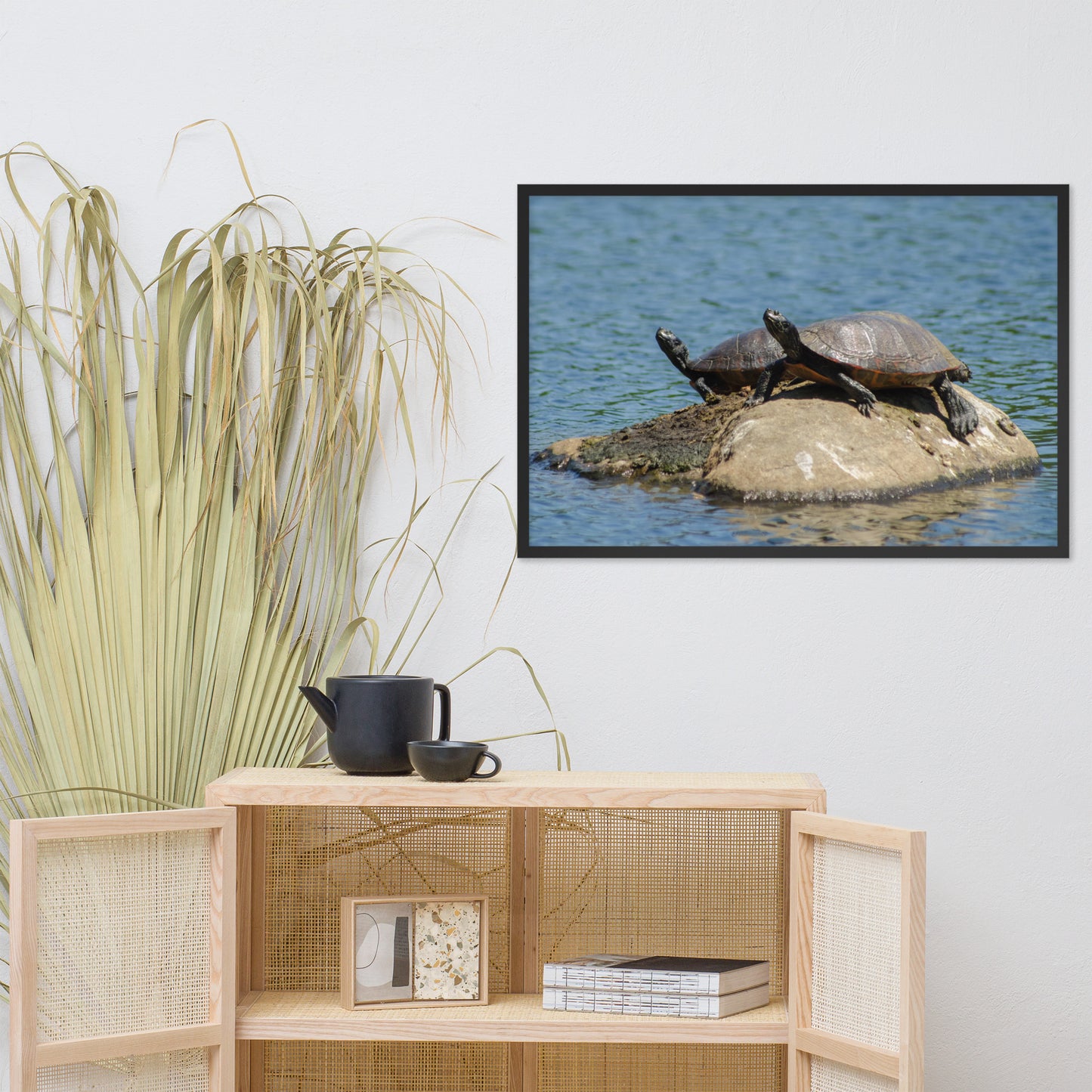 Sunshine Rock with Turtles Animal Wildlife Photograph Framed Wall Art Prints