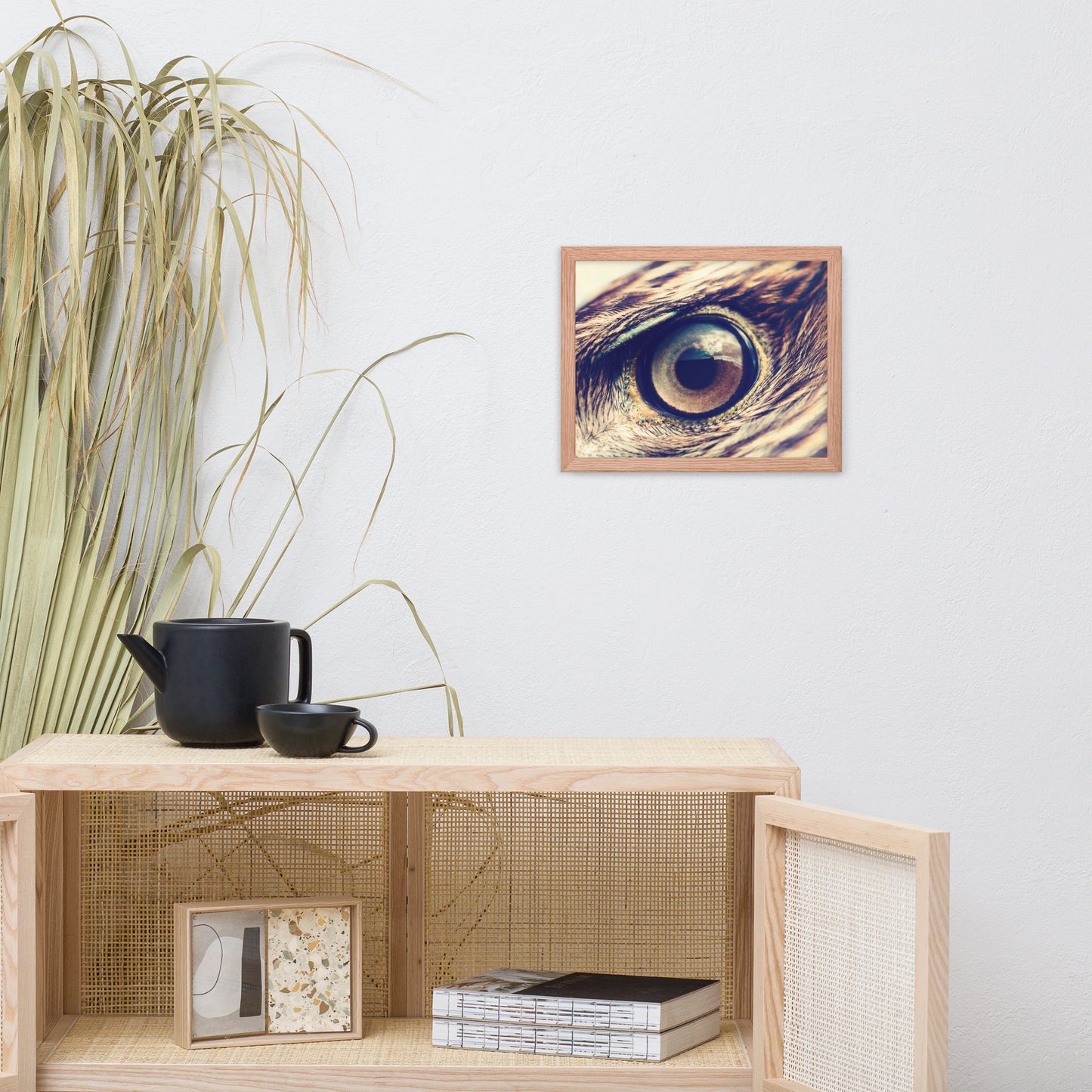 Close-up Eagle Eye Color Tone Animal Wildlife Photograph Framed Wall Art Prints