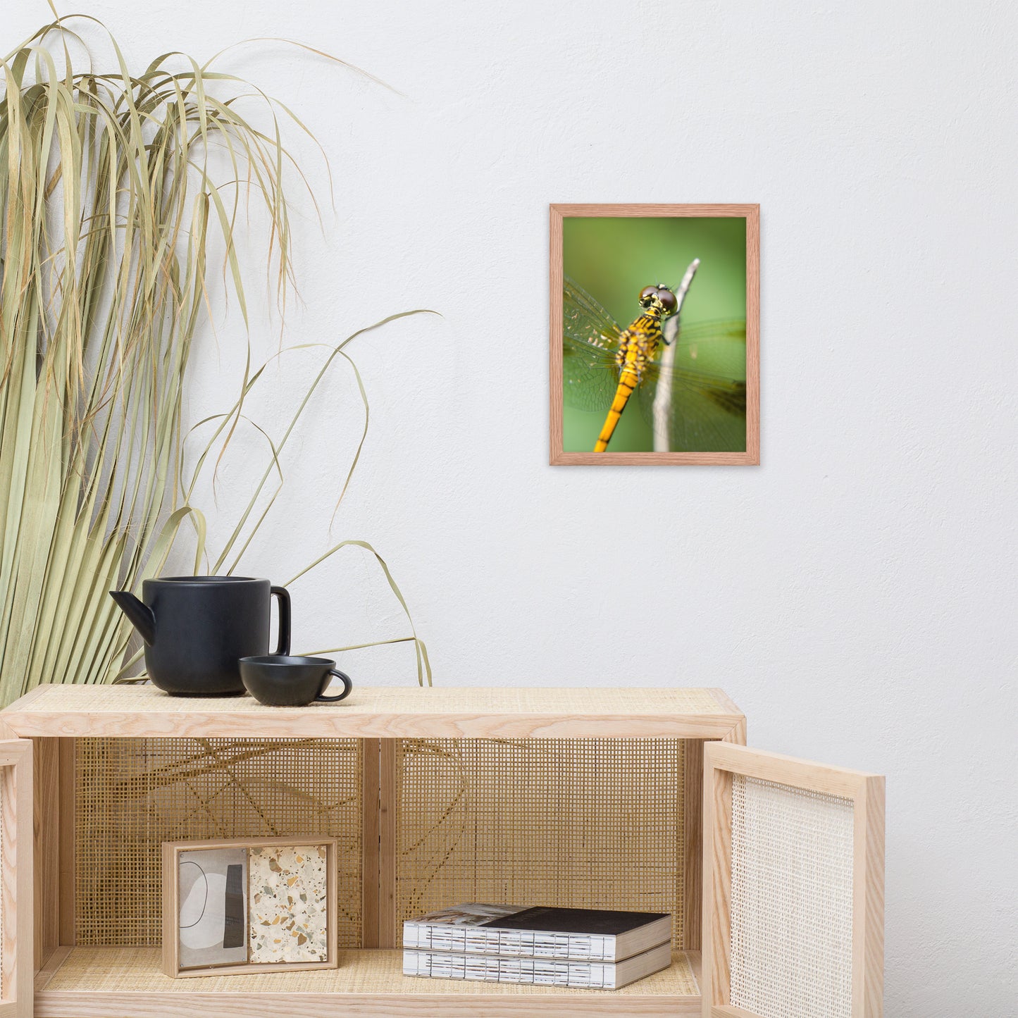Dragonfly at Bombay Hook Animal Wildlife Photograph Framed Wall Art Prints