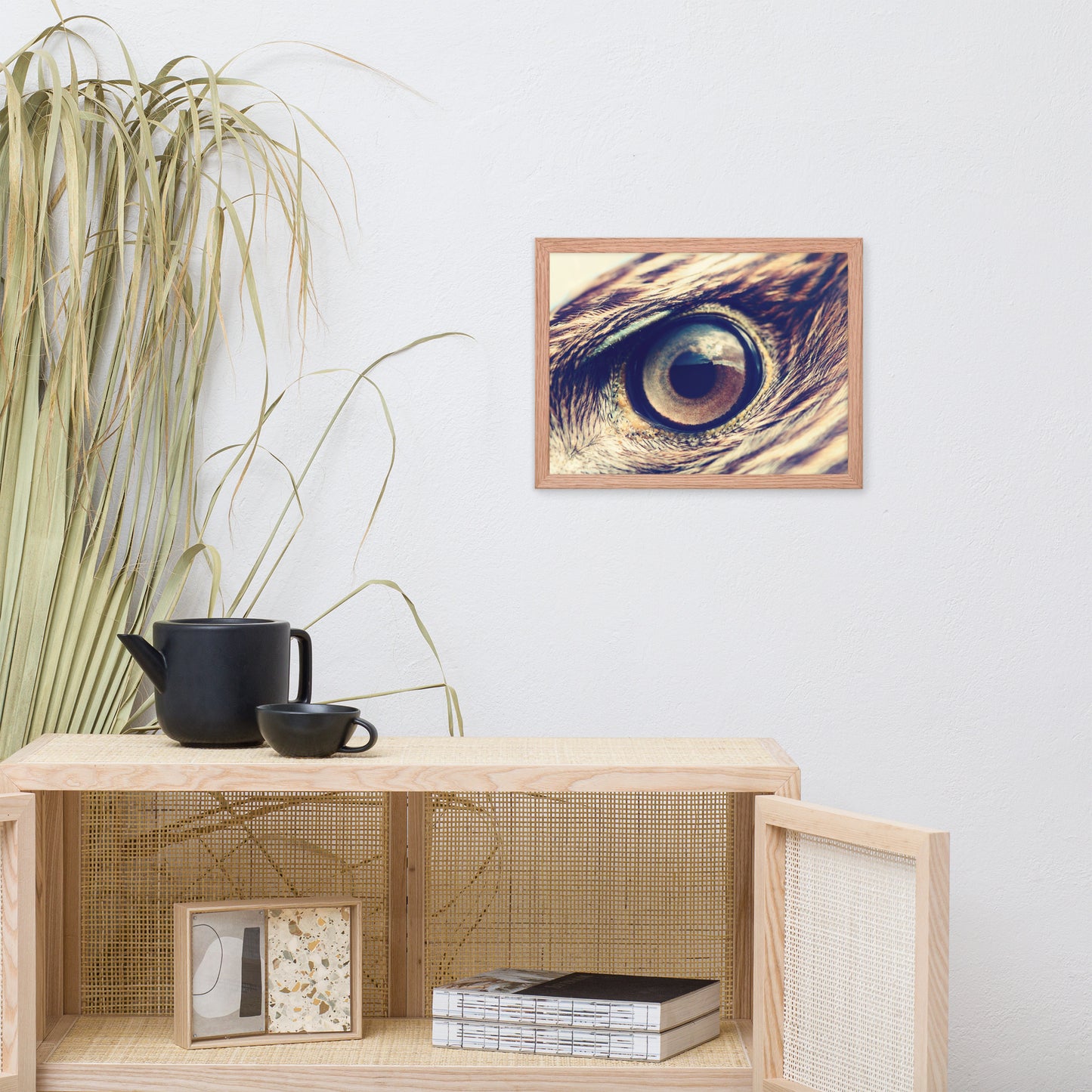 Close-up Eagle Eye Color Tone Animal Wildlife Photograph Framed Wall Art Prints