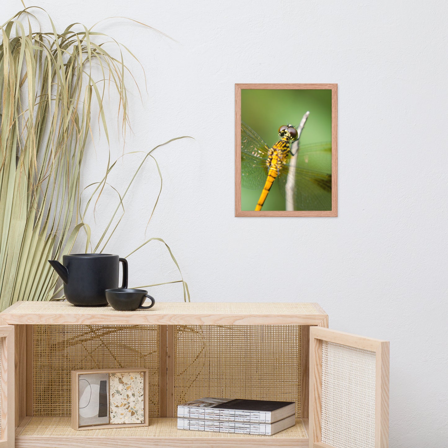 Dragonfly at Bombay Hook Animal Wildlife Photograph Framed Wall Art Prints