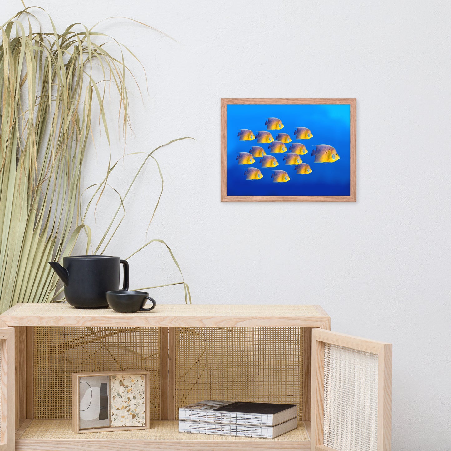 School of Tropical Coral Fish Angelfish Isolated in Blue Ocean Water Animal Wildlife Photograph Framed Wall Art Prints