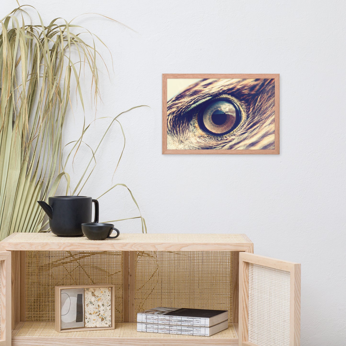 Close-up Eagle Eye Color Tone Animal Wildlife Photograph Framed Wall Art Prints