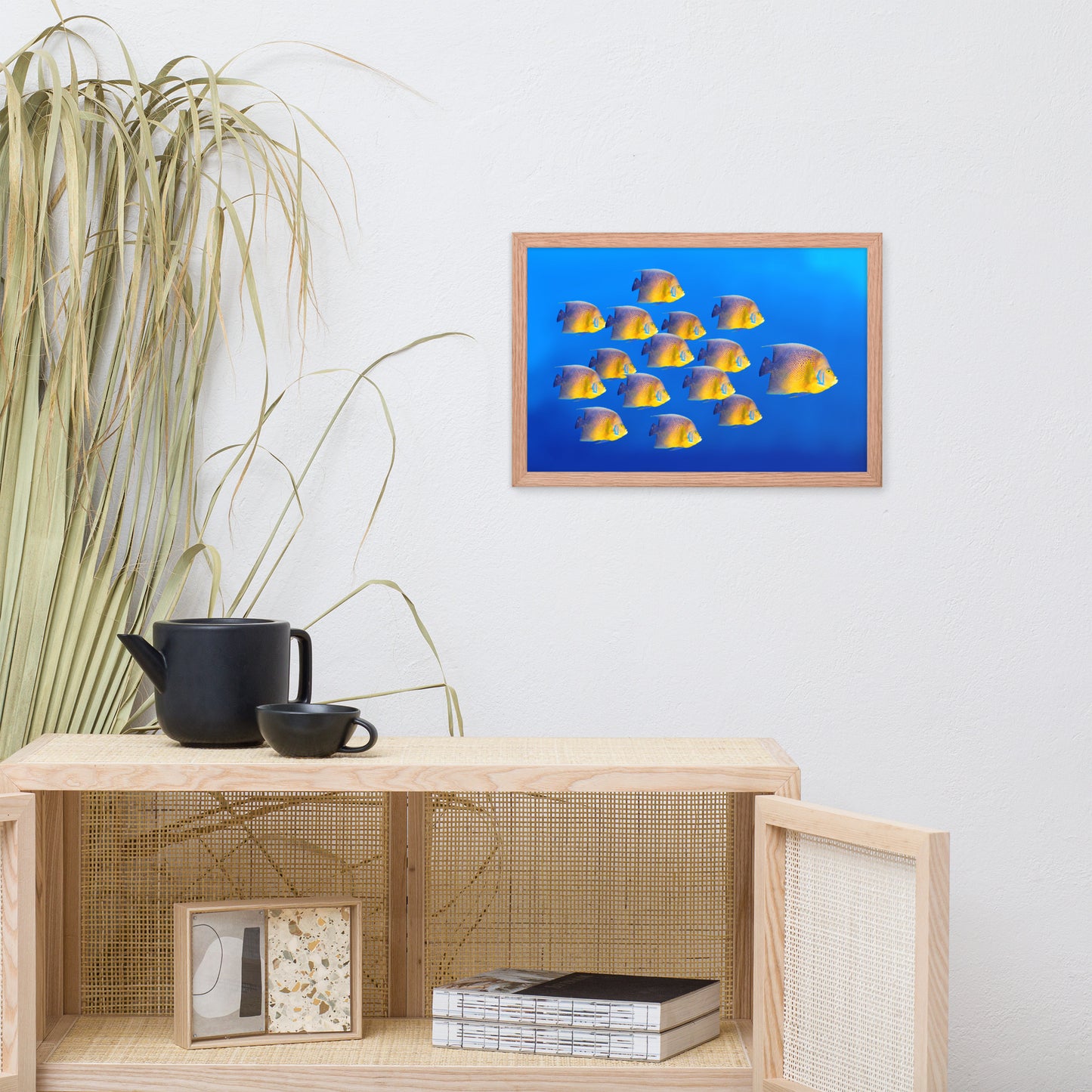 School of Tropical Coral Fish Angelfish Isolated in Blue Ocean Water Animal Wildlife Photograph Framed Wall Art Prints