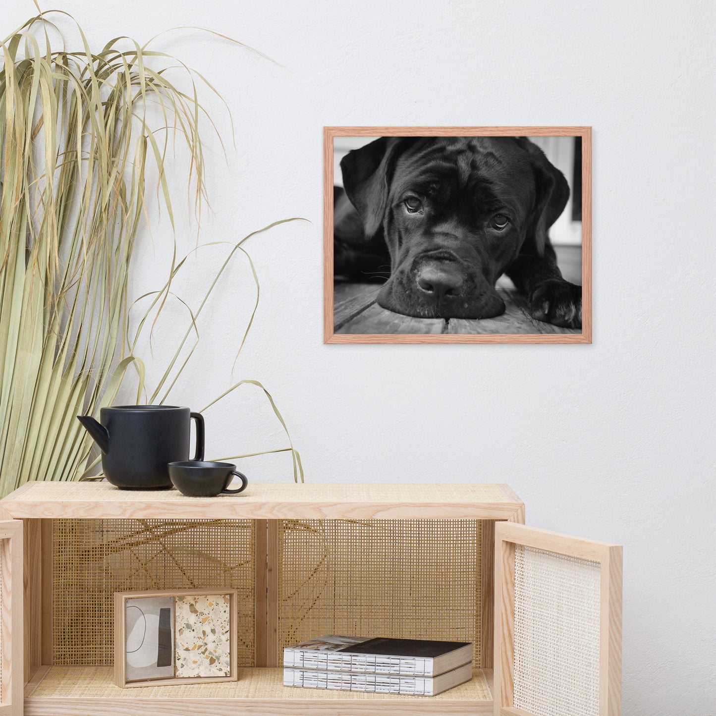 Cane Corso on Porch Animal Dog Black & White Framed Wall Art Prints