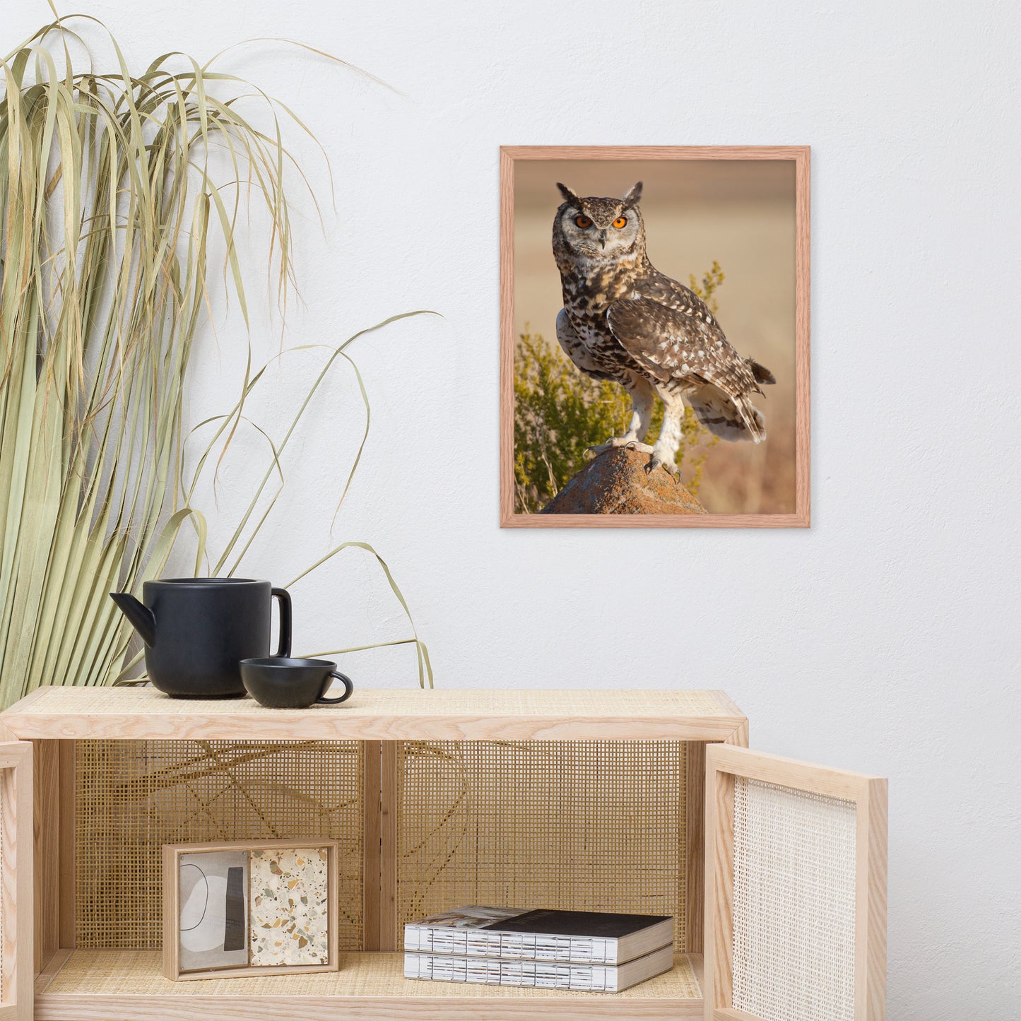 Cape Eagle Owl Wildlife Animal Photograph Framed Wall Art Prints