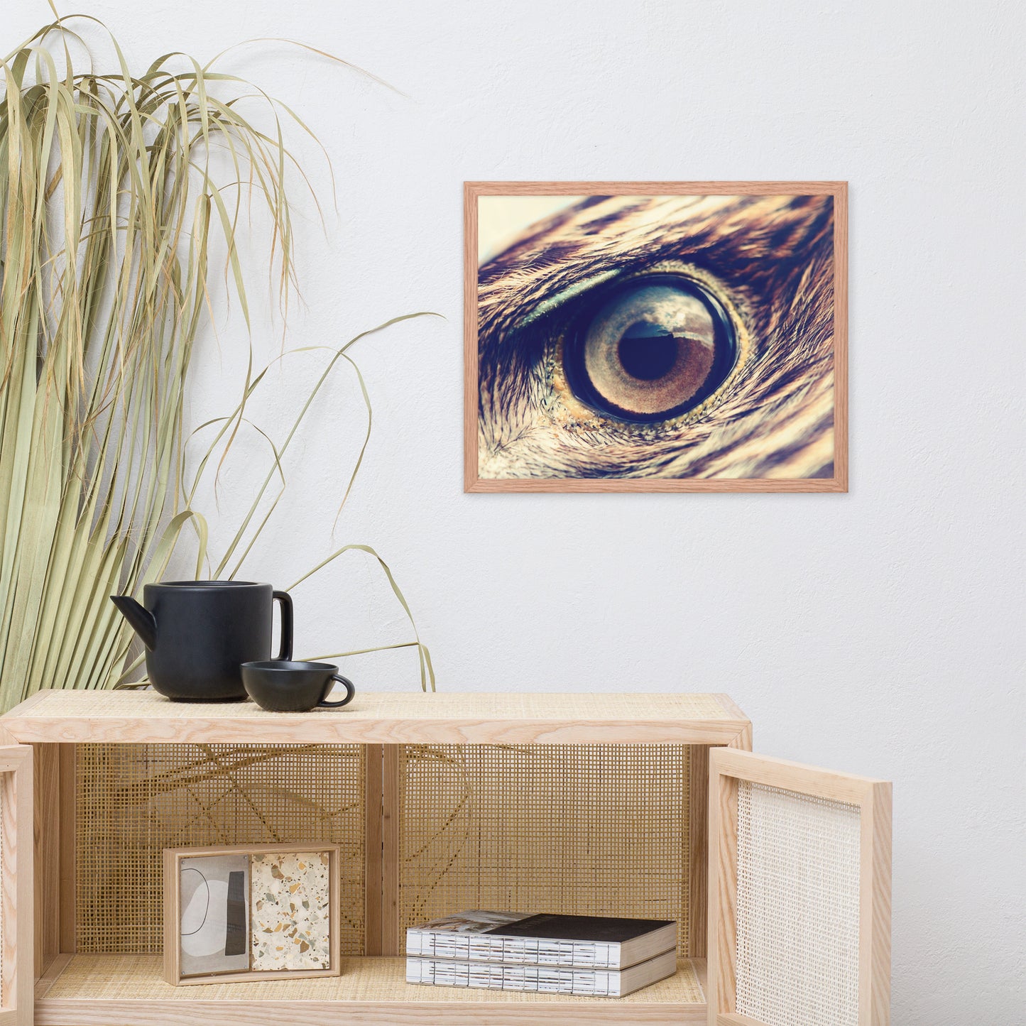 Close-up Eagle Eye Color Tone Animal Wildlife Photograph Framed Wall Art Prints