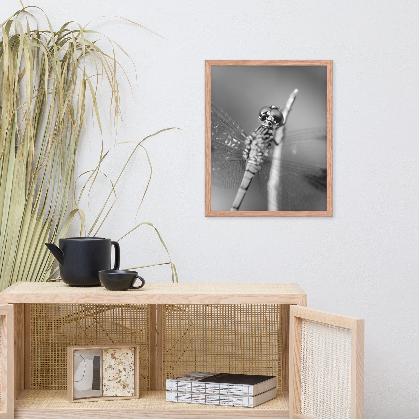 Dragonfly at Bombay Hook in Black and White Animal Wildlife Photograph Framed Wall Art Prints