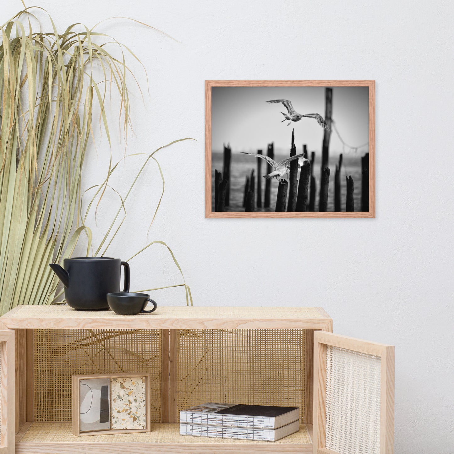 Flying Seagull in Black and White Animal Wildlife Photograph Framed Wall Art Prints