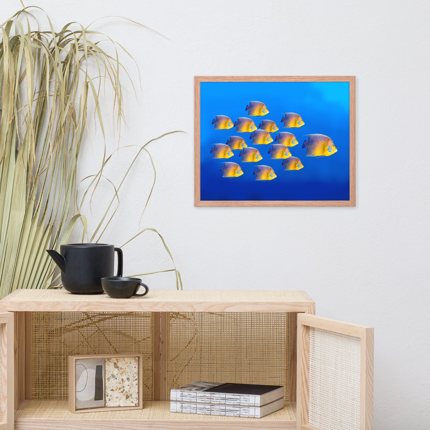 School of Tropical Coral Fish Angelfish Isolated in Blue Ocean Water Animal Wildlife Photograph Framed Wall Art Prints