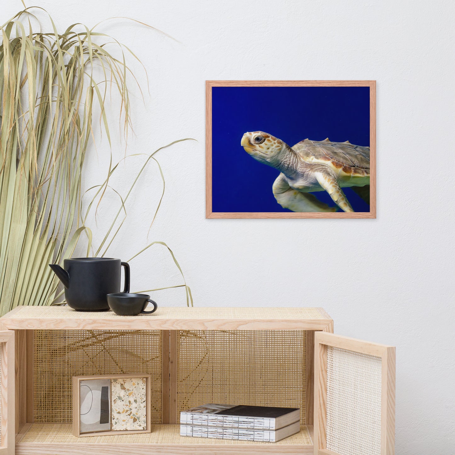 Sea Turtle 2 Animal Wildlife Photograph Framed Wall Art Prints
