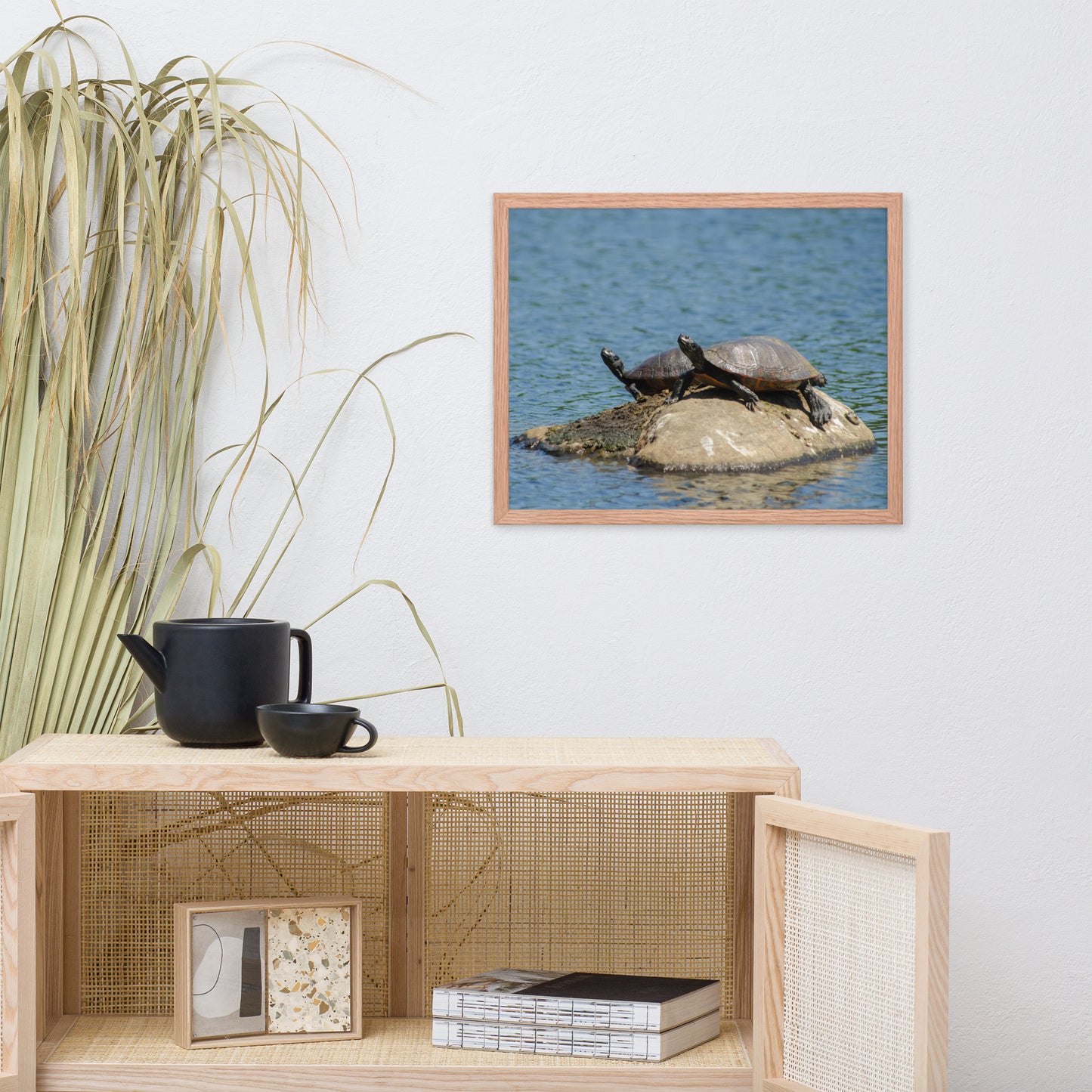 Sunshine Rock with Turtles Animal Wildlife Photograph Framed Wall Art Prints