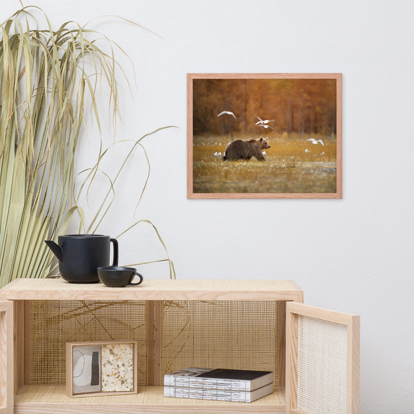 Big Brown Bear Crossing the Marshlands Wildlife Photo Framed Wall Art Prints