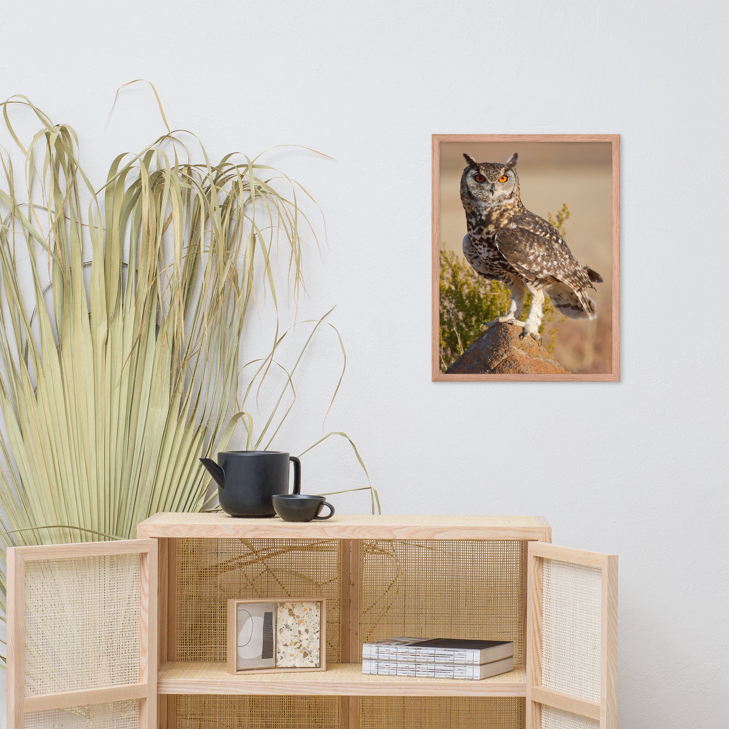 Cape Eagle Owl Wildlife Animal Photograph Framed Wall Art Prints