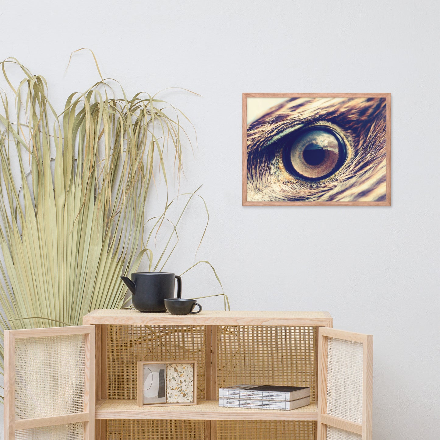 Close-up Eagle Eye Color Tone Animal Wildlife Photograph Framed Wall Art Prints