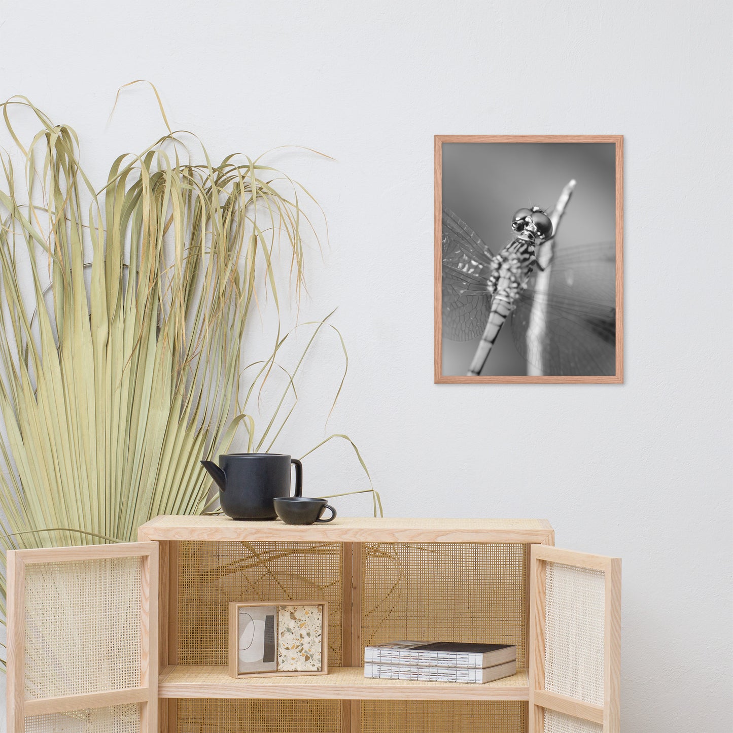 Dragonfly at Bombay Hook in Black and White Animal Wildlife Photograph Framed Wall Art Prints