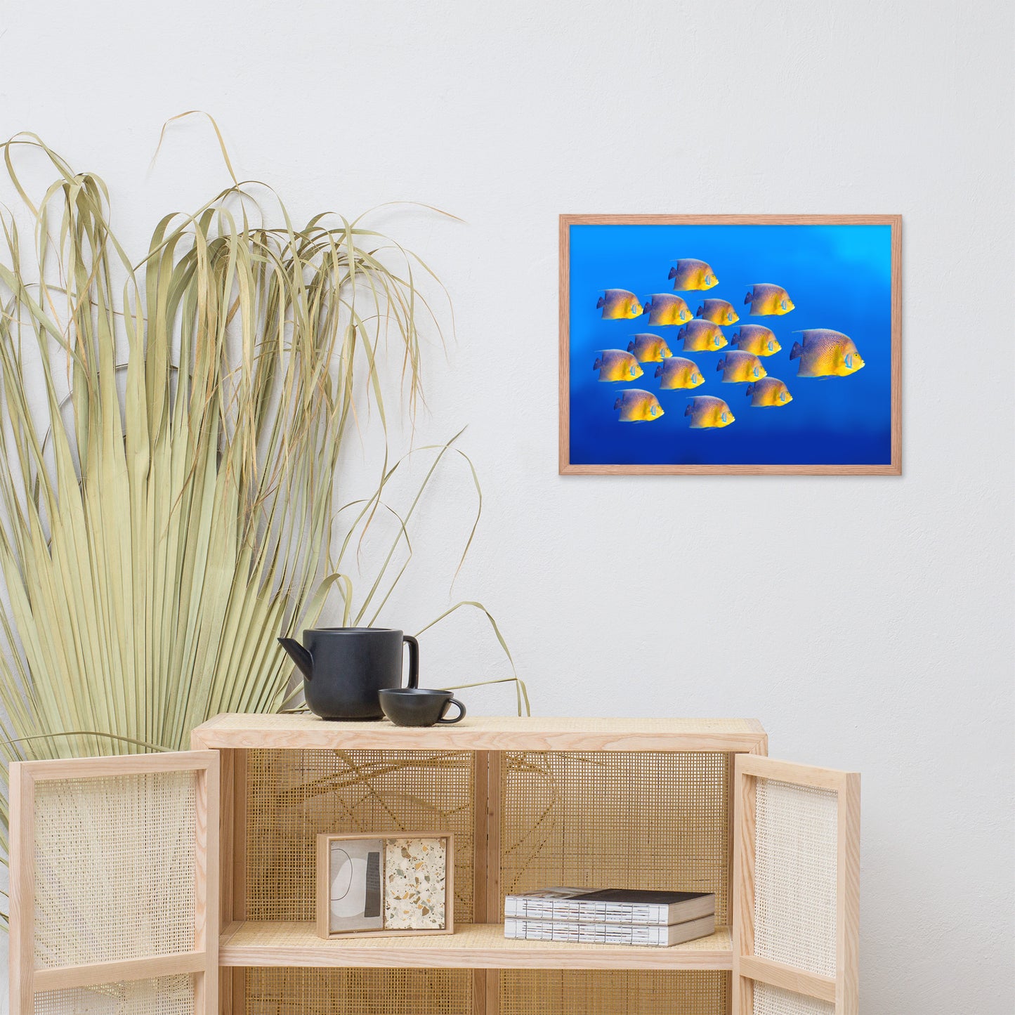 School of Tropical Coral Fish Angelfish Isolated in Blue Ocean Water Animal Wildlife Photograph Framed Wall Art Prints