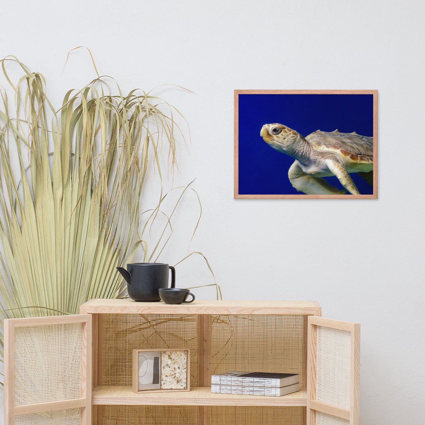 Sea Turtle 2 Animal Wildlife Photograph Framed Wall Art Prints