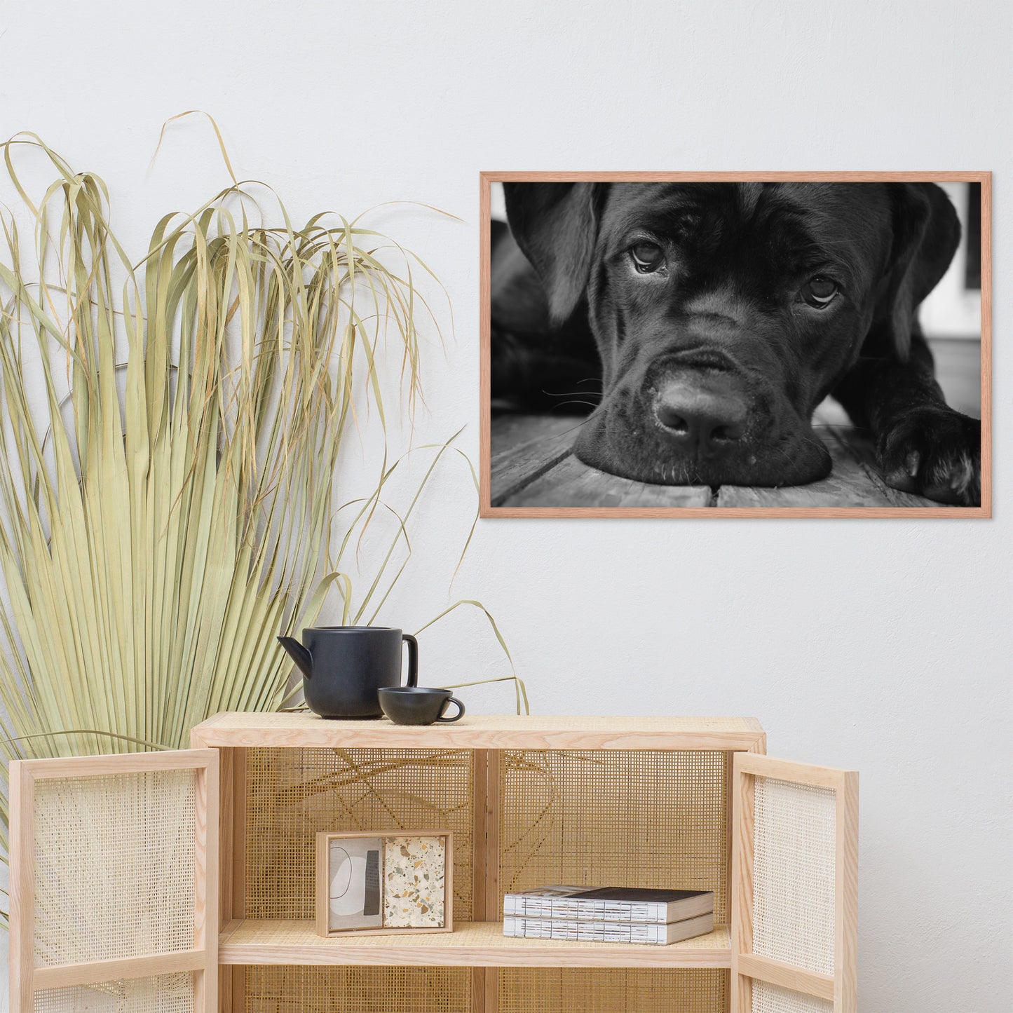 Cane Corso on Porch Animal Dog Black & White Framed Wall Art Prints