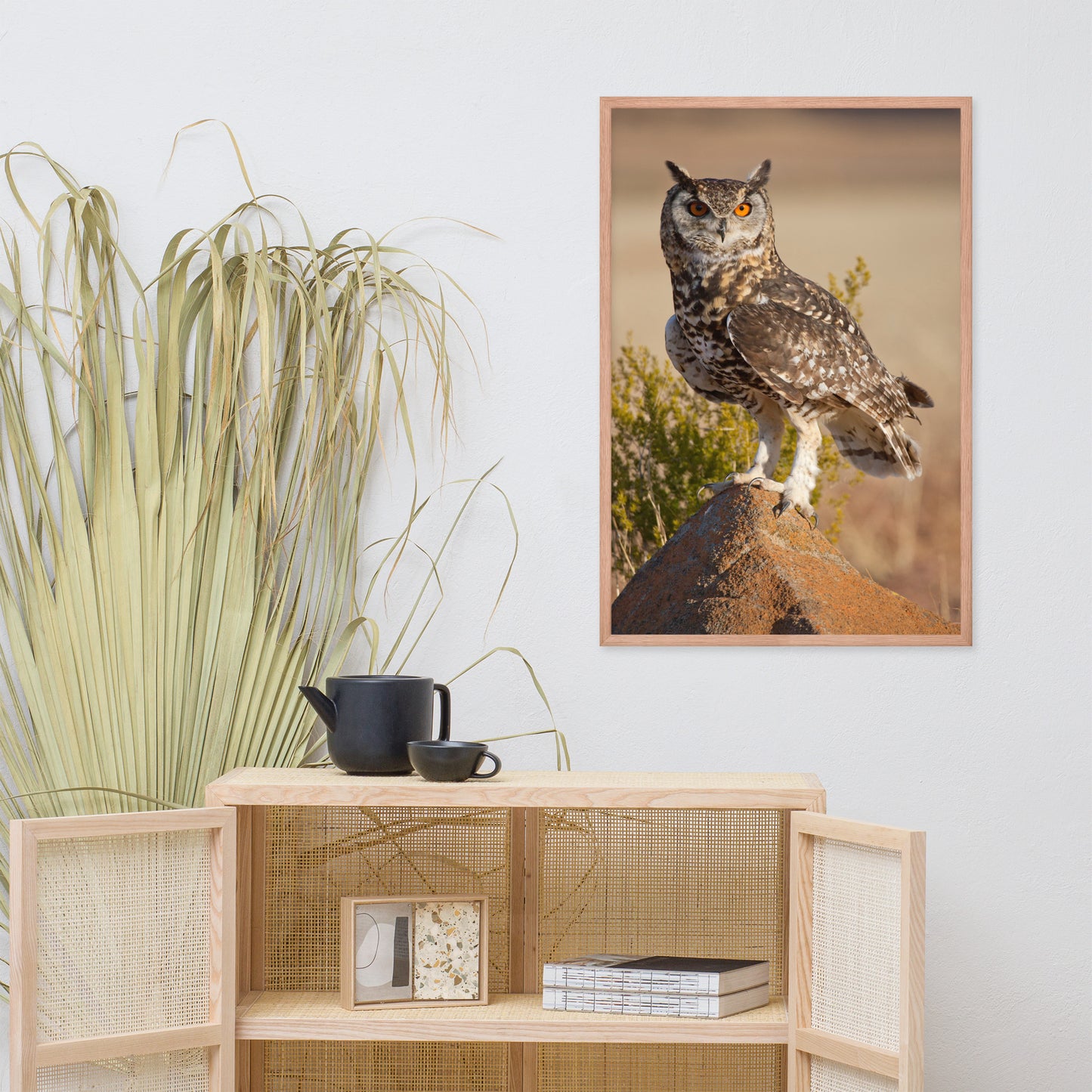 Cape Eagle Owl Wildlife Animal Photograph Framed Wall Art Prints
