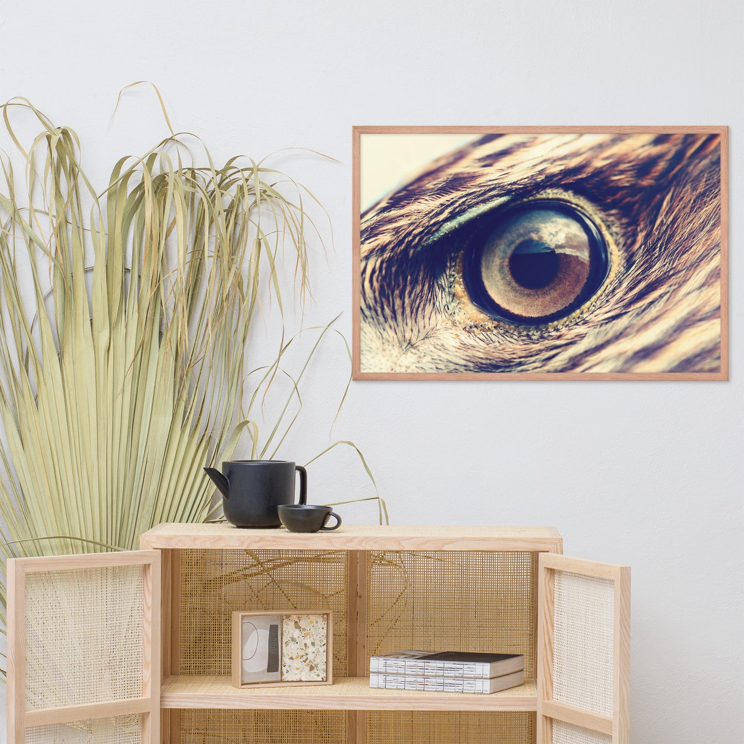 Close-up Eagle Eye Color Tone Animal Wildlife Photograph Framed Wall Art Prints