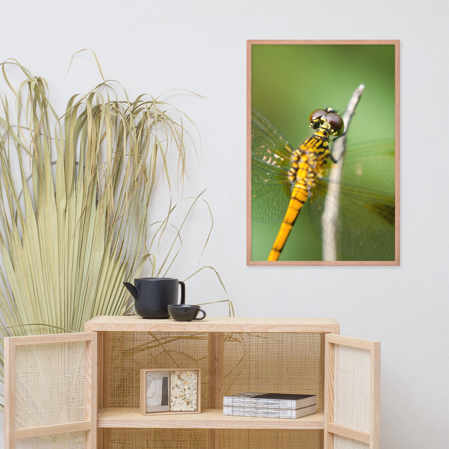 Dragonfly at Bombay Hook Animal Wildlife Photograph Framed Wall Art Prints