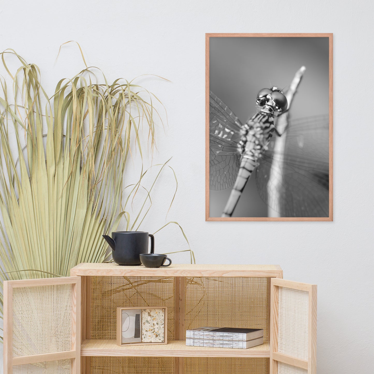 Dragonfly at Bombay Hook in Black and White Animal Wildlife Photograph Framed Wall Art Prints