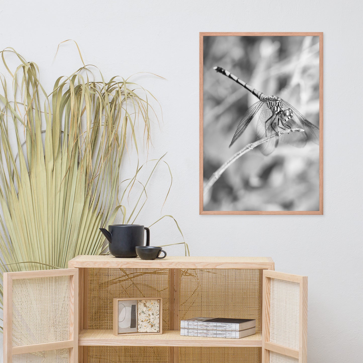 Dragonfly in Black and White Animal Wildlife Photograph Framed Wall Art Prints