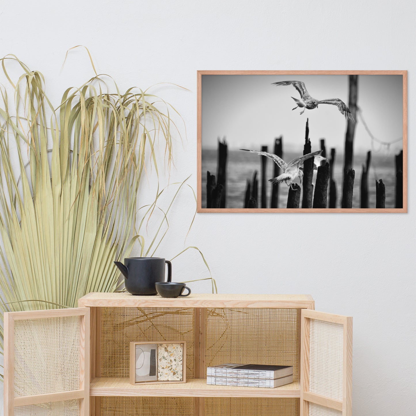 Flying Seagull in Black and White Animal Wildlife Photograph Framed Wall Art Prints