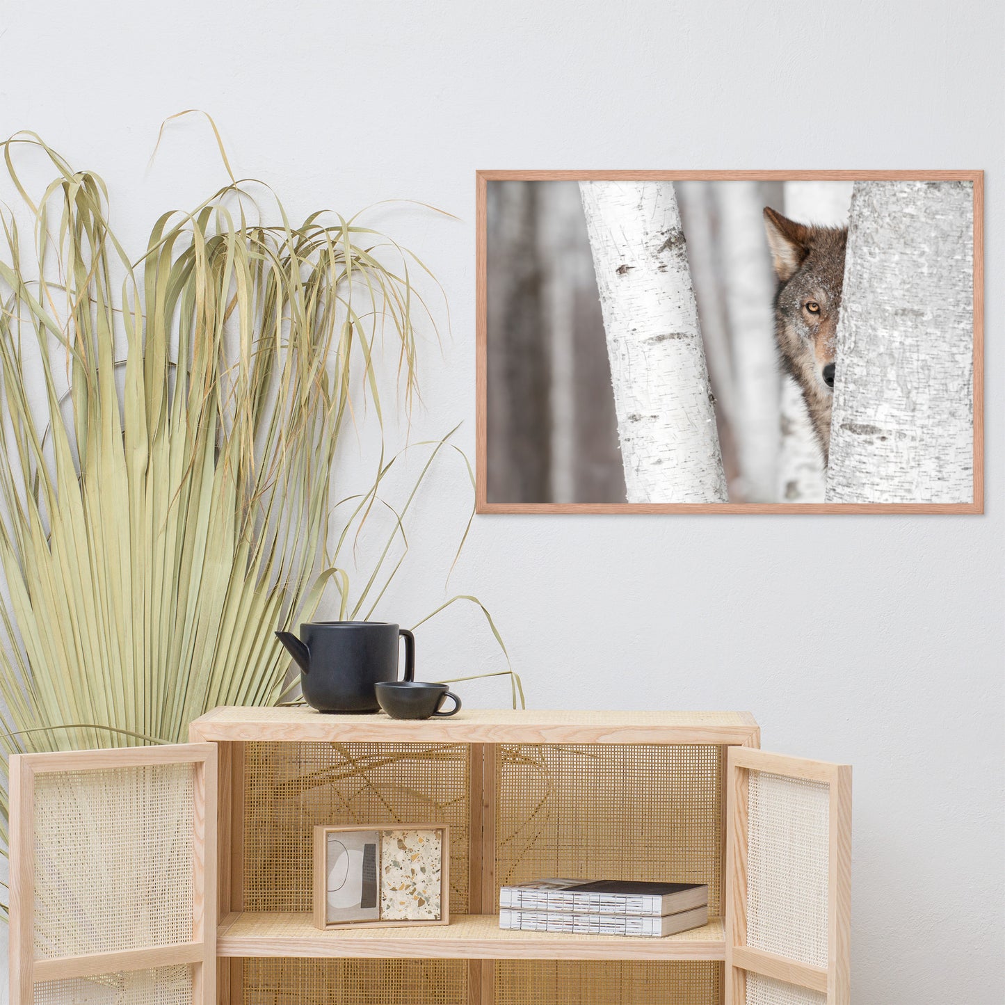 Hiding Wolf Behind Birch Tree in the Forest Animal Wildlife Nature Photograph Framed Wall Art Prints