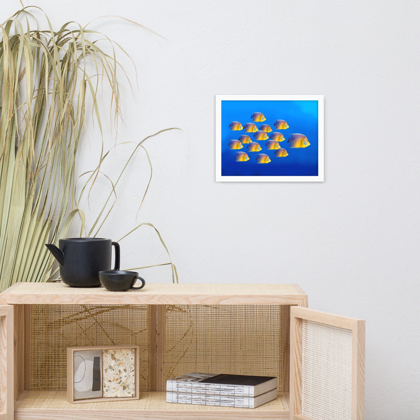 School of Tropical Coral Fish Angelfish Isolated in Blue Ocean Water Animal Wildlife Photograph Framed Wall Art Prints