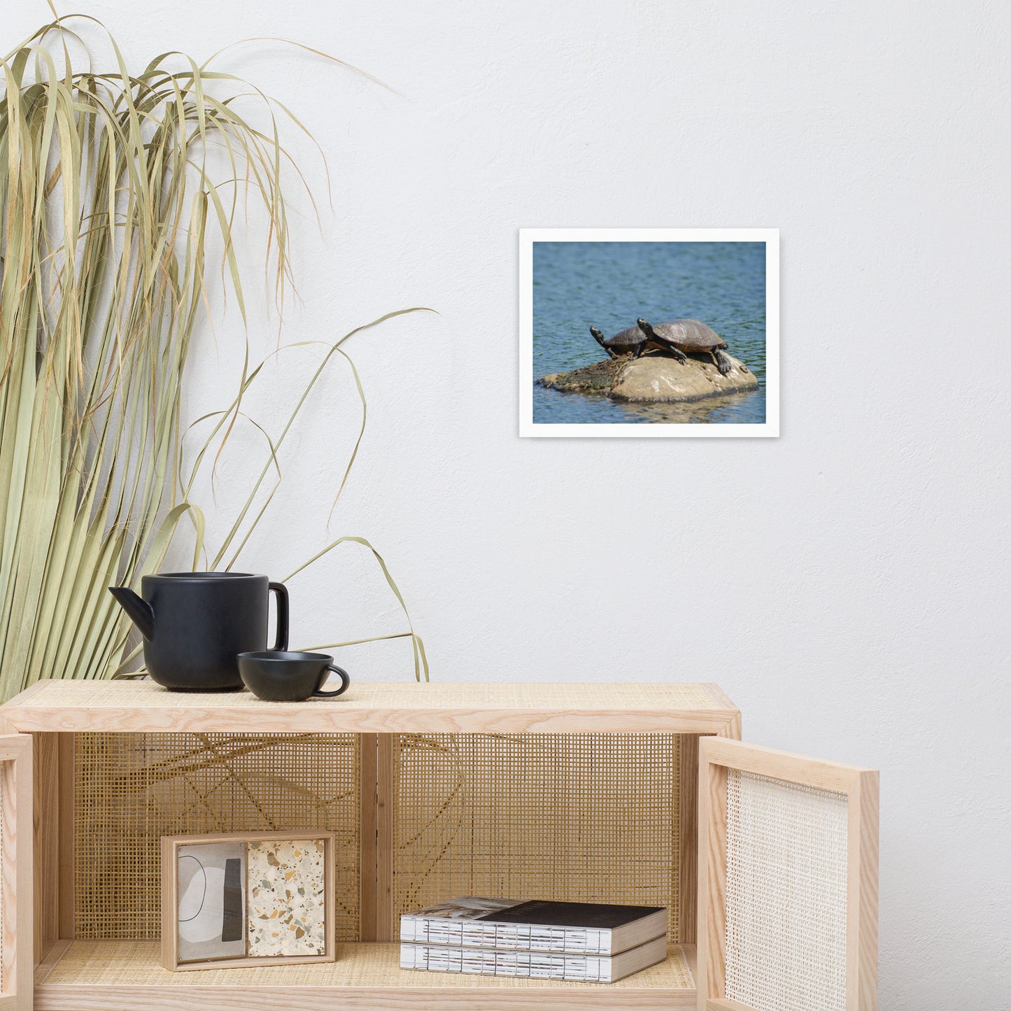 Sunshine Rock with Turtles Animal Wildlife Photograph Framed Wall Art Prints