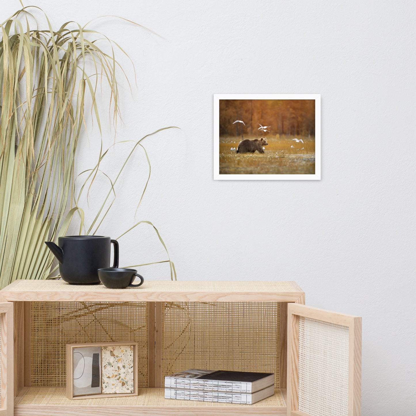 Big Brown Bear Crossing the Marshlands Wildlife Photo Framed Wall Art Prints