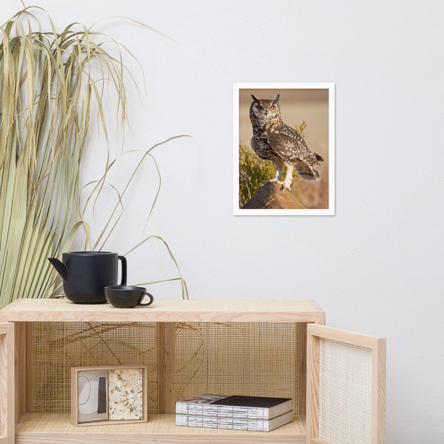 Cape Eagle Owl Wildlife Animal Photograph Framed Wall Art Prints