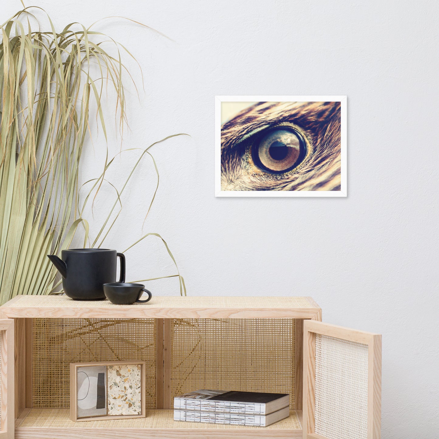 Close-up Eagle Eye Color Tone Animal Wildlife Photograph Framed Wall Art Prints