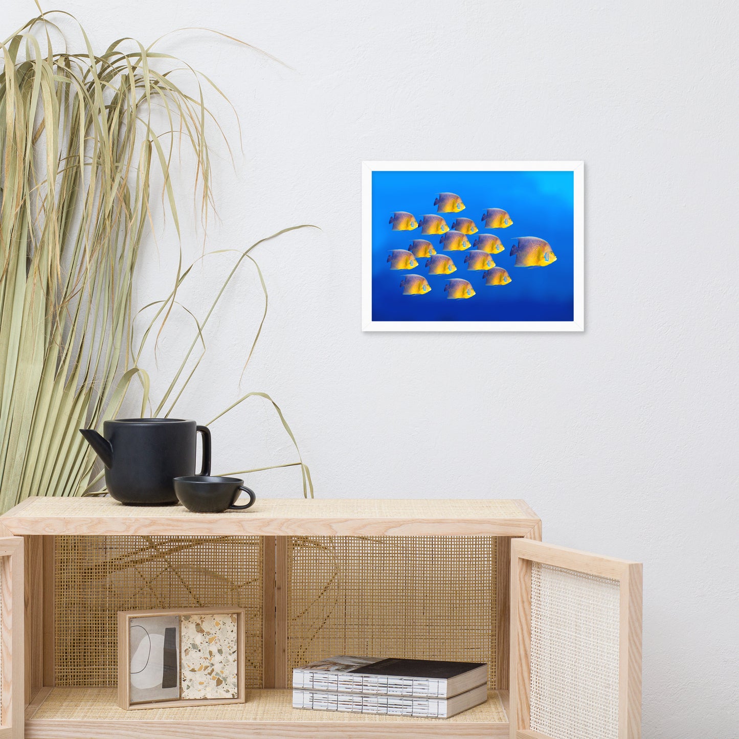 School of Tropical Coral Fish Angelfish Isolated in Blue Ocean Water Animal Wildlife Photograph Framed Wall Art Prints