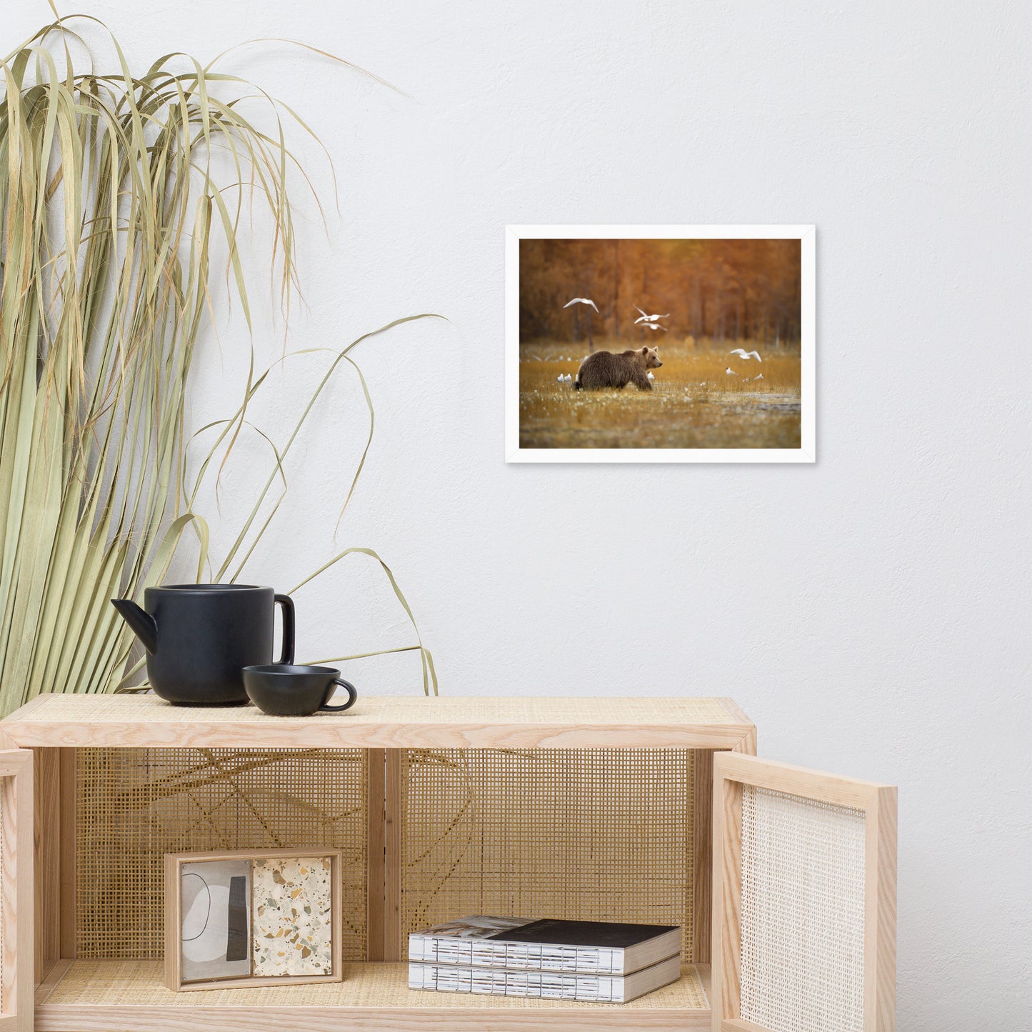 Big Brown Bear Crossing the Marshlands Wildlife Photo Framed Wall Art Prints