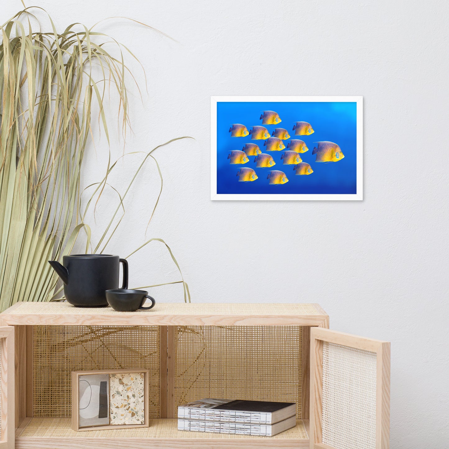 School of Tropical Coral Fish Angelfish Isolated in Blue Ocean Water Animal Wildlife Photograph Framed Wall Art Prints