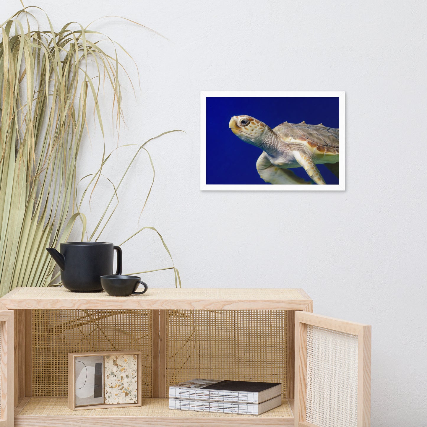 Sea Turtle 2 Animal Wildlife Photograph Framed Wall Art Prints