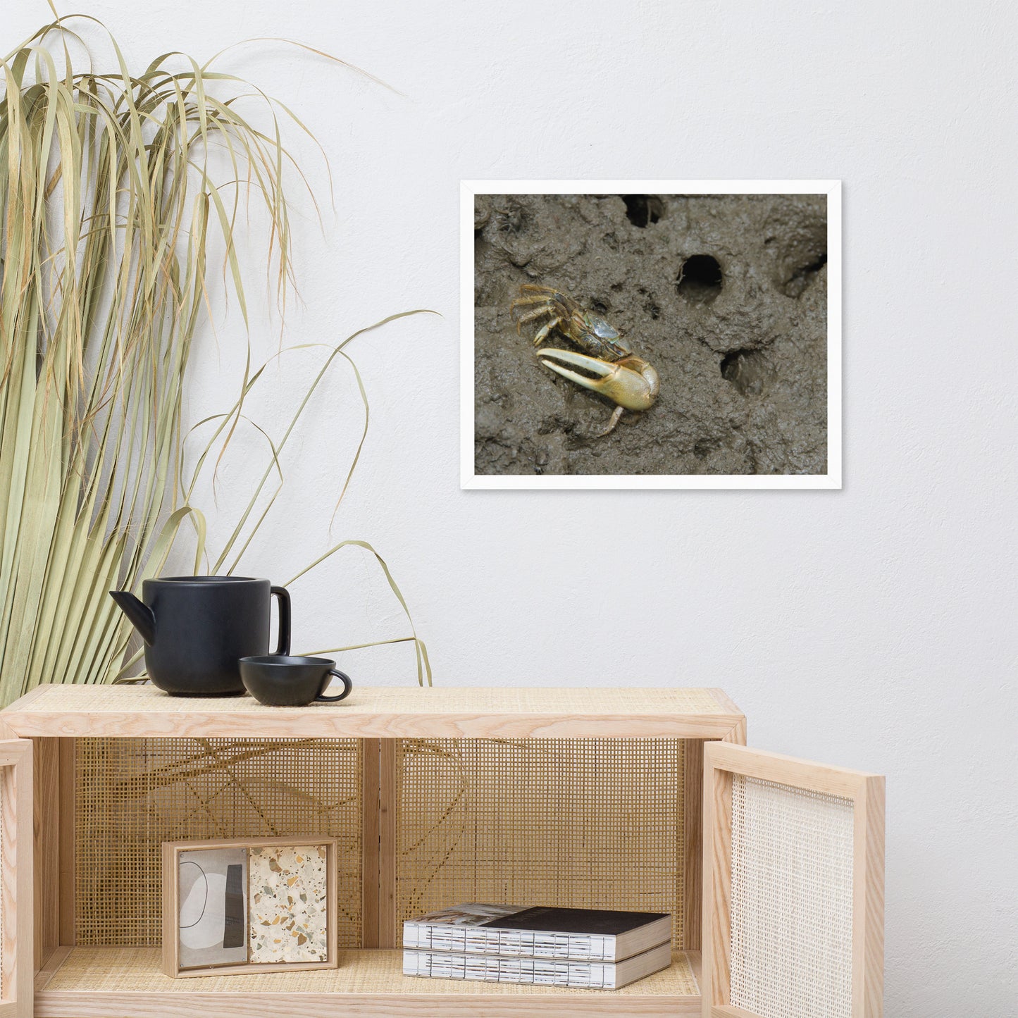 Fiddler Crab Animal Wildlife Photograph Framed Wall Art Prints