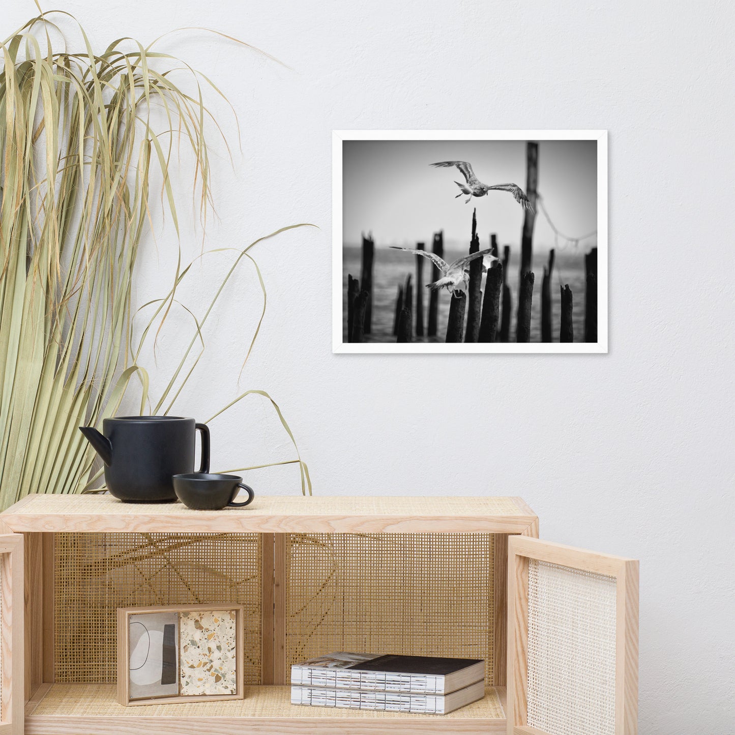 Flying Seagull in Black and White Animal Wildlife Photograph Framed Wall Art Prints